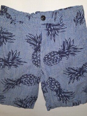 Children's Place Boys Pineapple Chino Shorts Blue 100% Cotton 8 Small Tropical